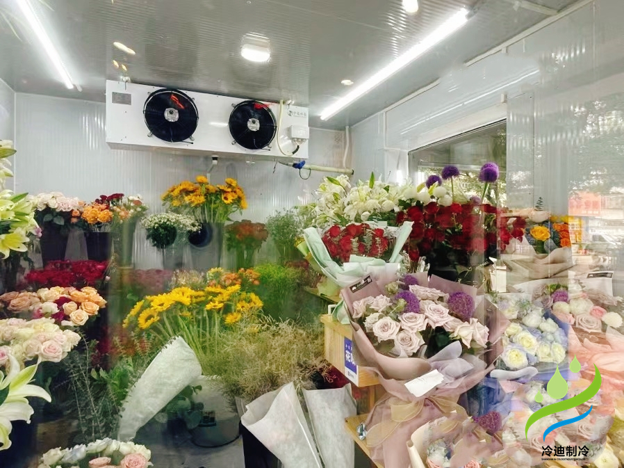 農村建一個冷庫造價需要多少錢?(圖1) 冷庫造價