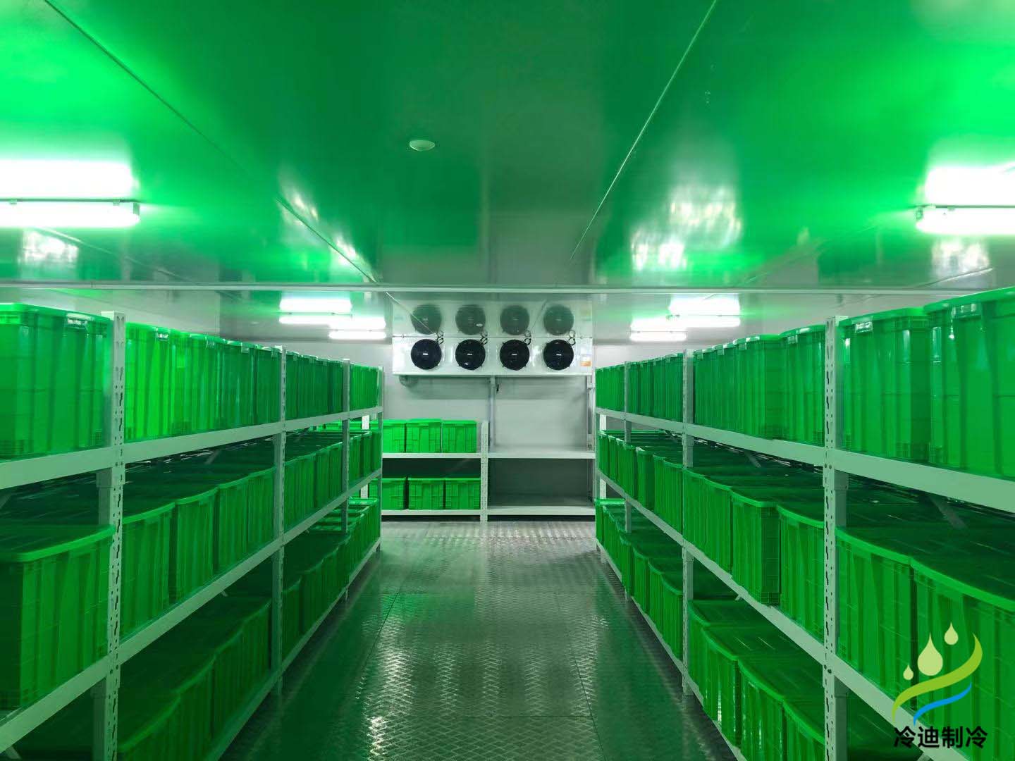 微生物細(xì)菌冷庫(kù)