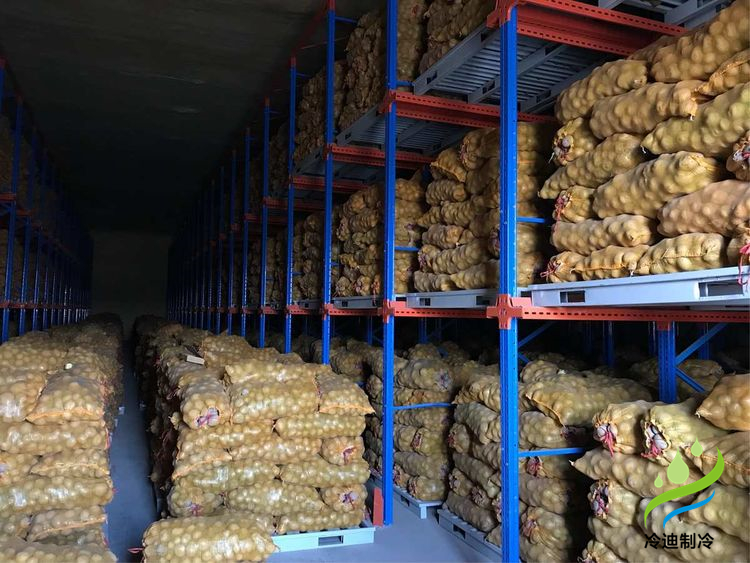 建造100噸土豆冷庫面積及冷庫造價多少錢？