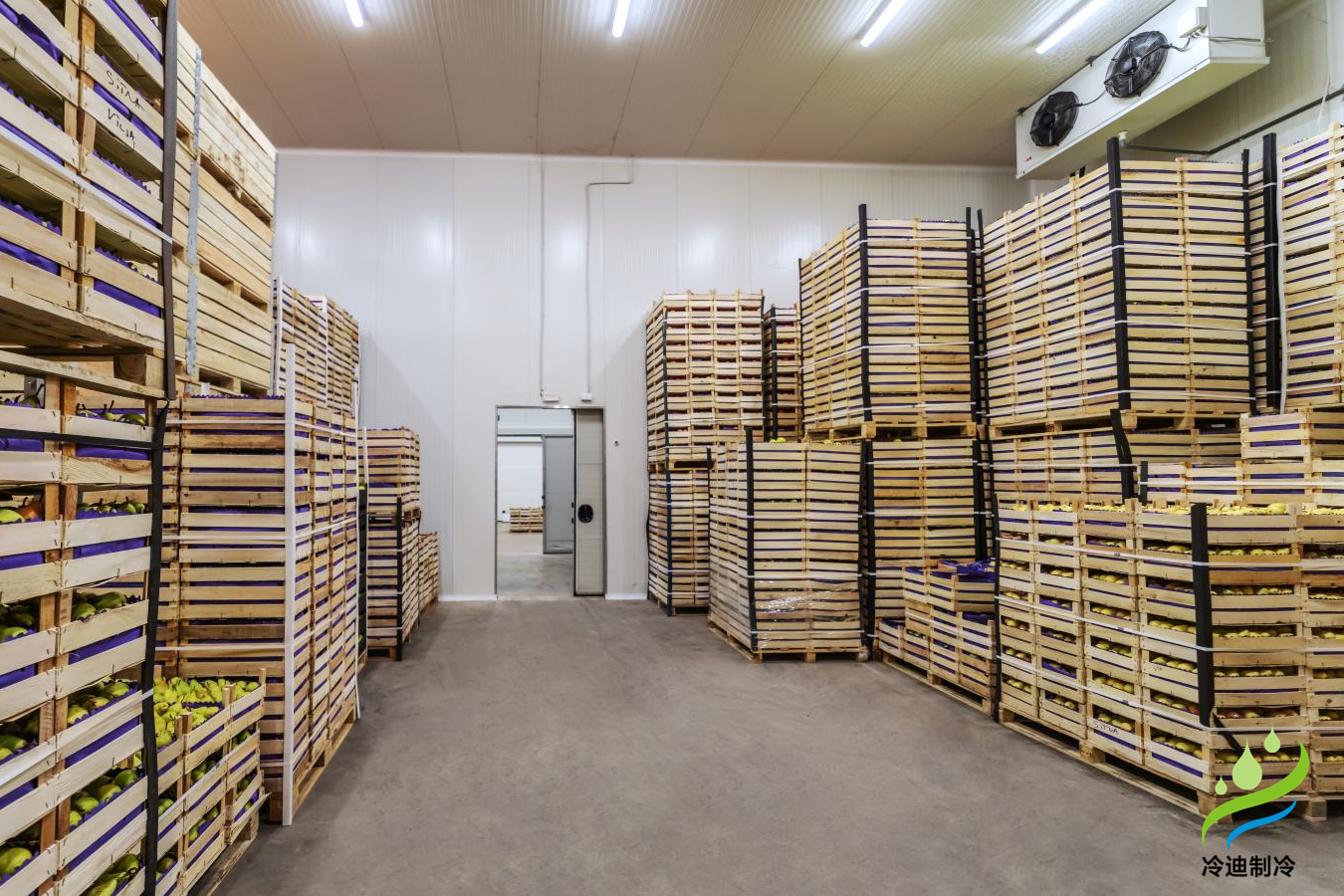 不同規(guī)模保鮮冷庫造價榜單，保鮮冷庫耗電量表