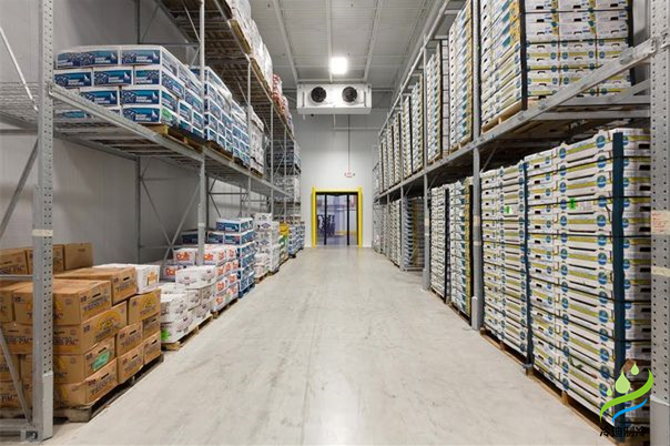 建一個冷庫到底要花多少錢？