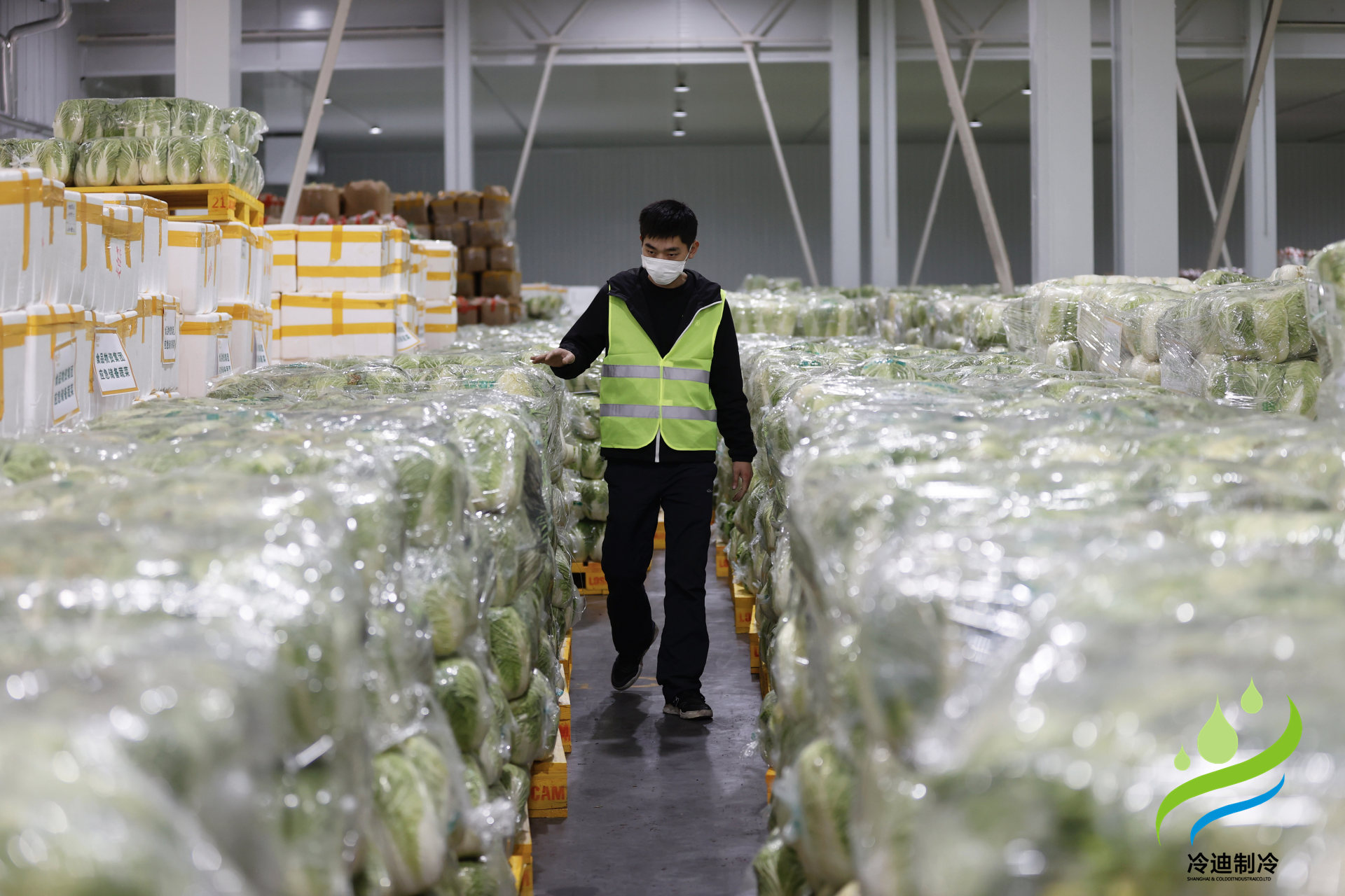 安裝一個(gè)生鮮冷鏈冷庫(kù)需要多少錢(qián)？(圖2)