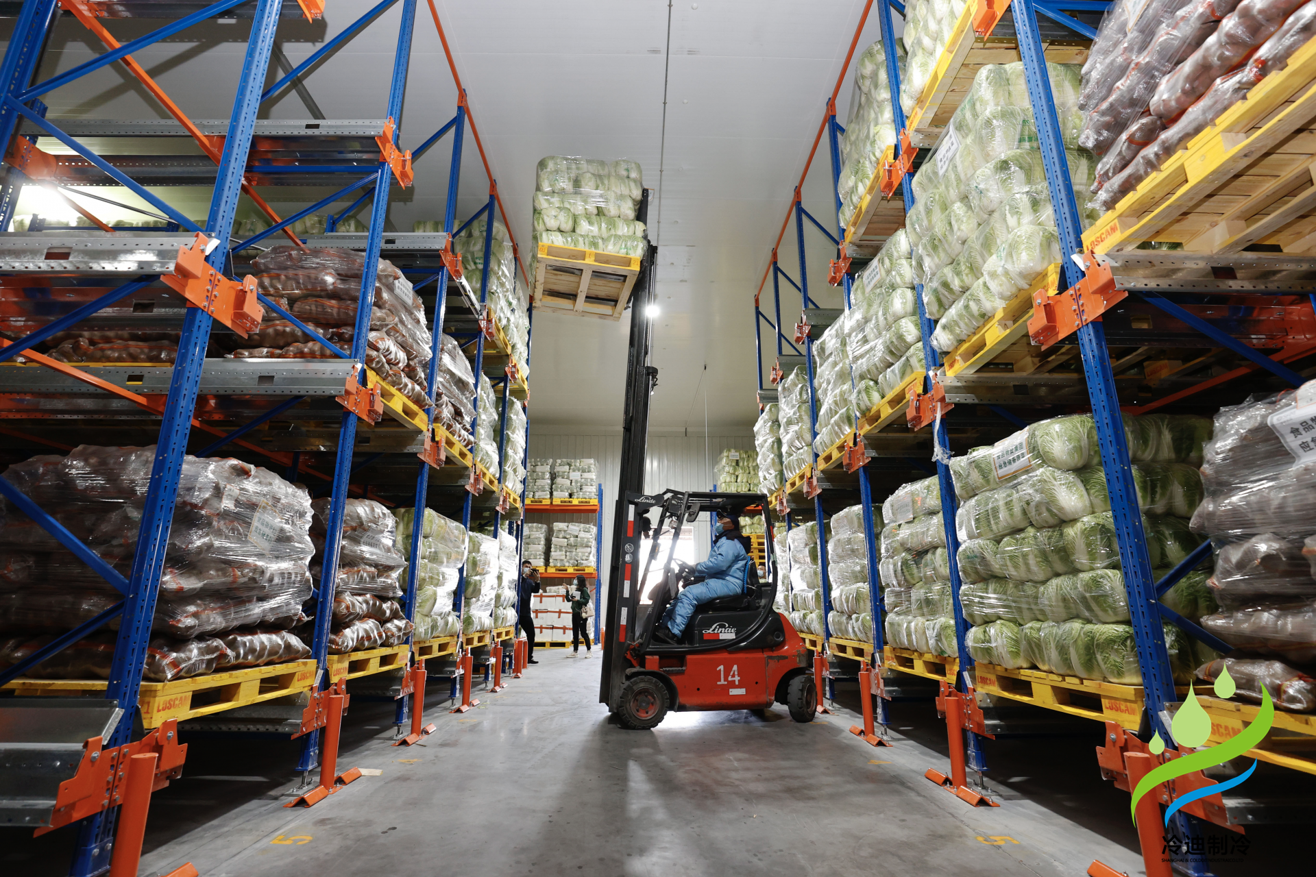 建造一個(gè)預(yù)冷冷庫需要多少錢？(圖2)