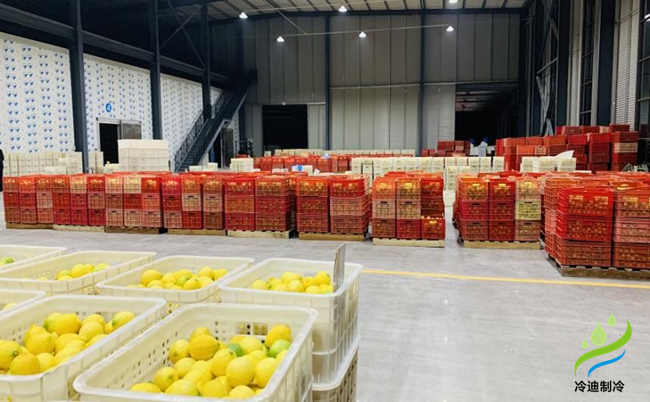 建造一個(gè)橙子冷庫(kù)需要多少錢？(圖1)